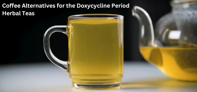 Coffee Alternatives for the Doxycycline Period Herbal Teas