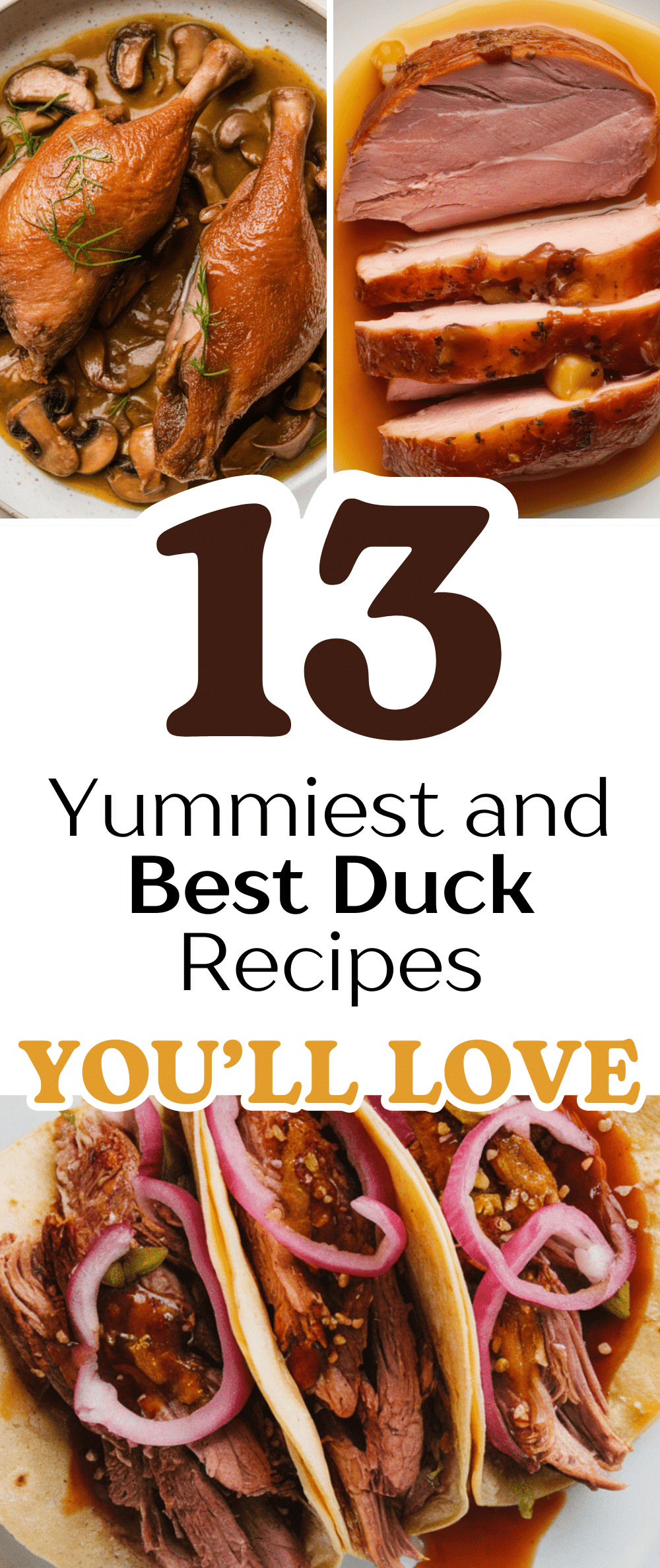 Duck Recipes